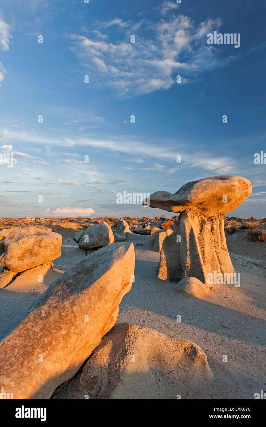 "Il fungo' rock e massi, Bisti Wilderness Area, Nuovo Messico USA Foto Stock