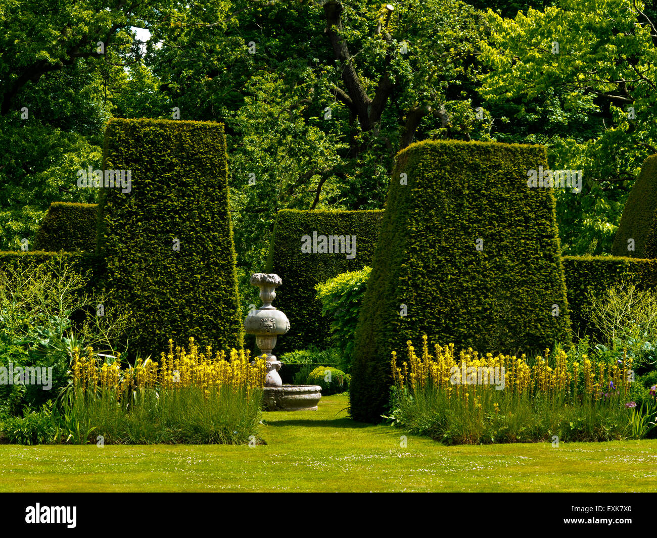 Topiaria da alte siepi in estate nel giardino di Renishaw Hall Derbyshire England Regno Unito Foto Stock