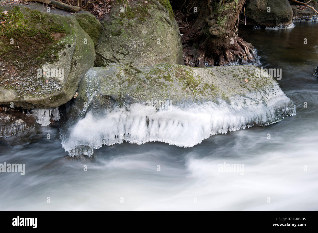 Corso di un flusso congelato in inverno Germania Europa Foto Stock