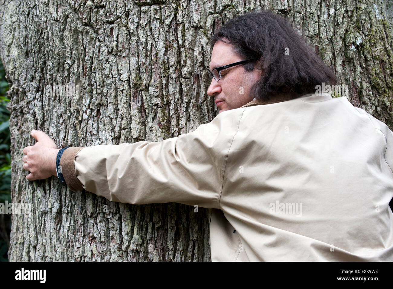 L'uomo abbracci grande albero Foto Stock