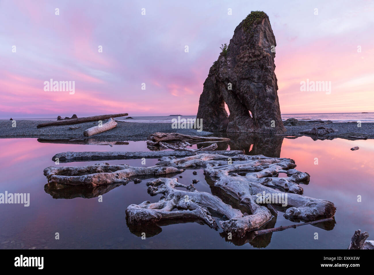 Crepuscolo viola nuvole riflettono in un lento movimento stream, con un mare di stack e driftwood, al Ruby Beach nel Parco Nazionale di Olympic Foto Stock