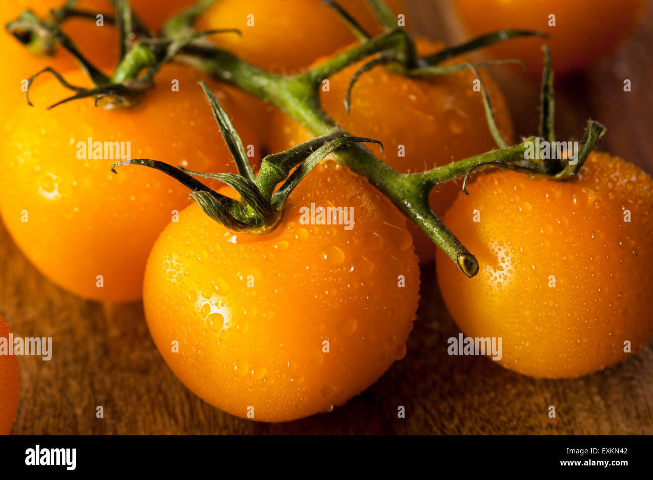 Materie organiche pomodori giallo sulla vite Foto Stock