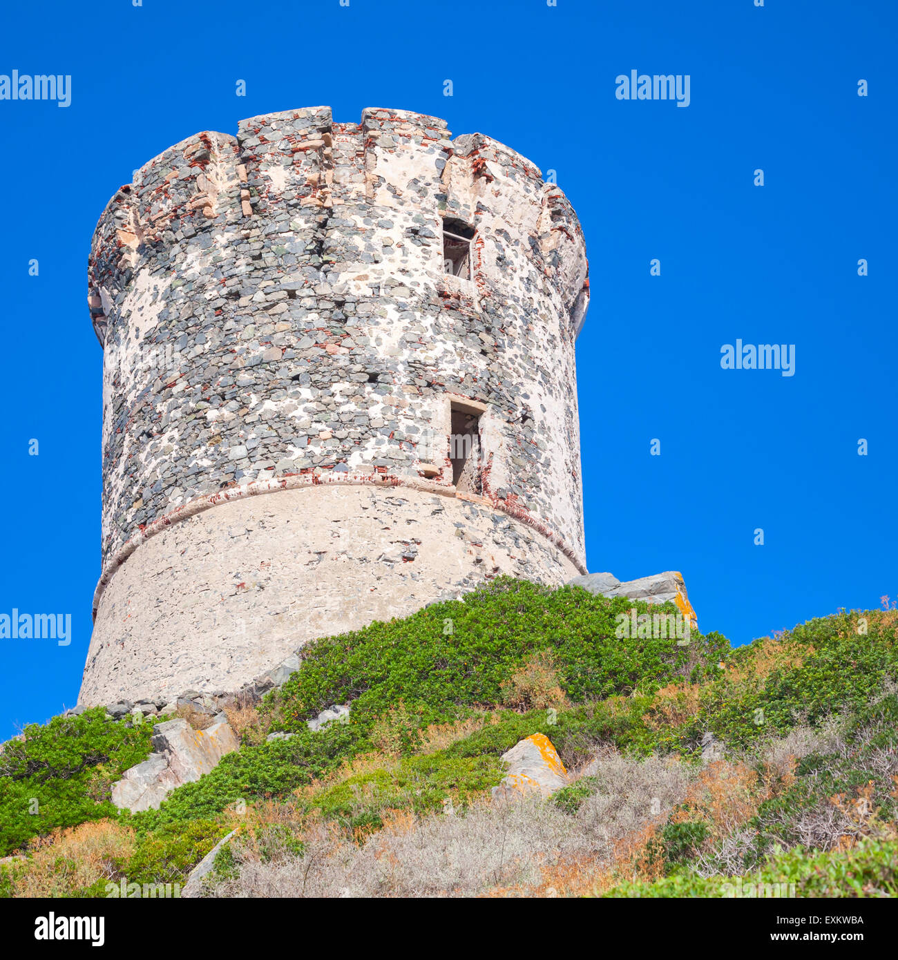 Parata. Torre genovese sulla penisola di sanguinarie vicino a Ajaccio, Corsica, Francia Foto Stock