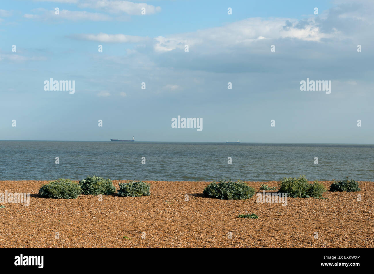 Costa del Mare del Nord vicino al porto di Felixstowe, Bawdsey traghetto, Suffolk, Inghilterra. Foto Stock