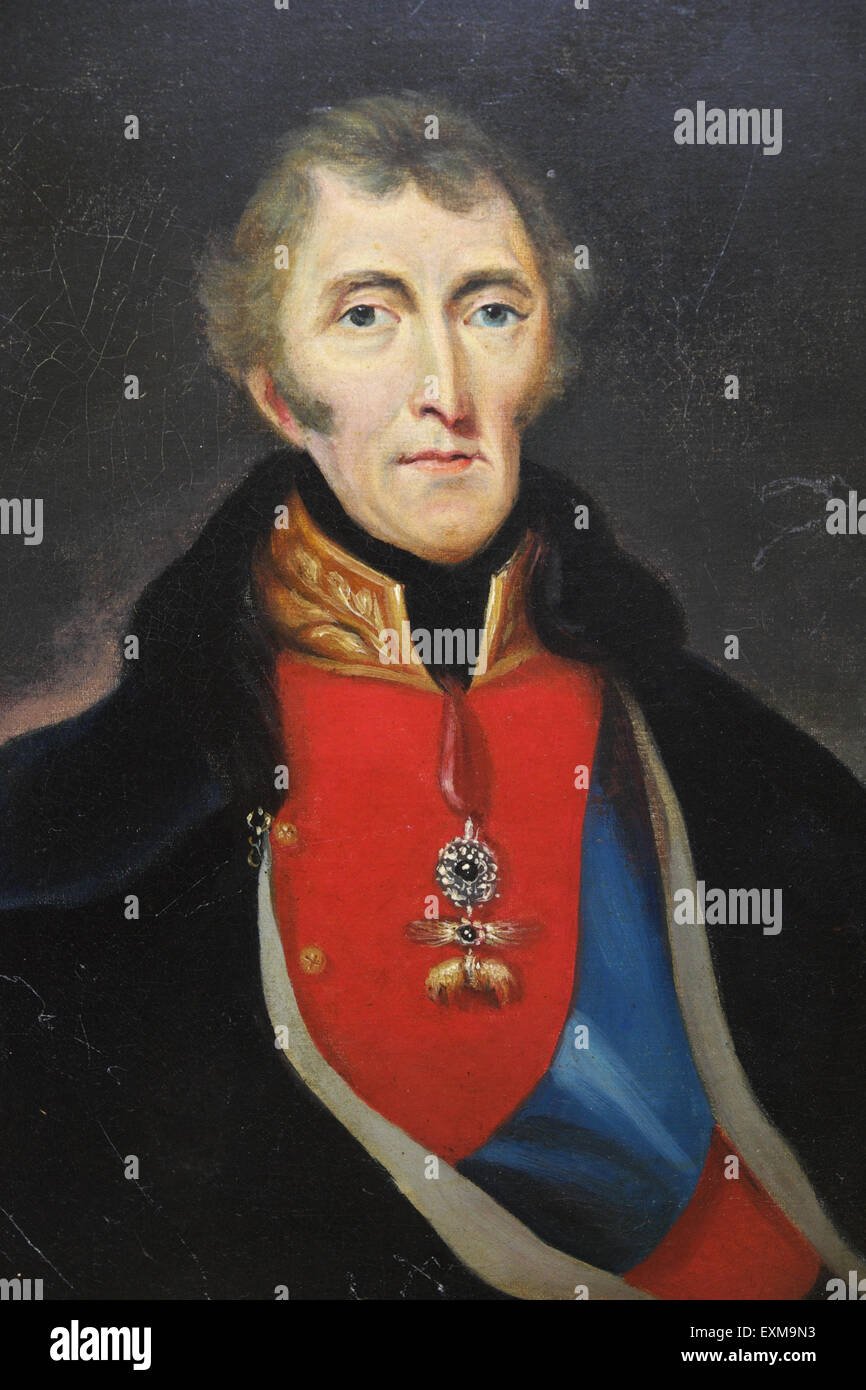 Il duca di Wellington ritratto dipinto Foto Stock