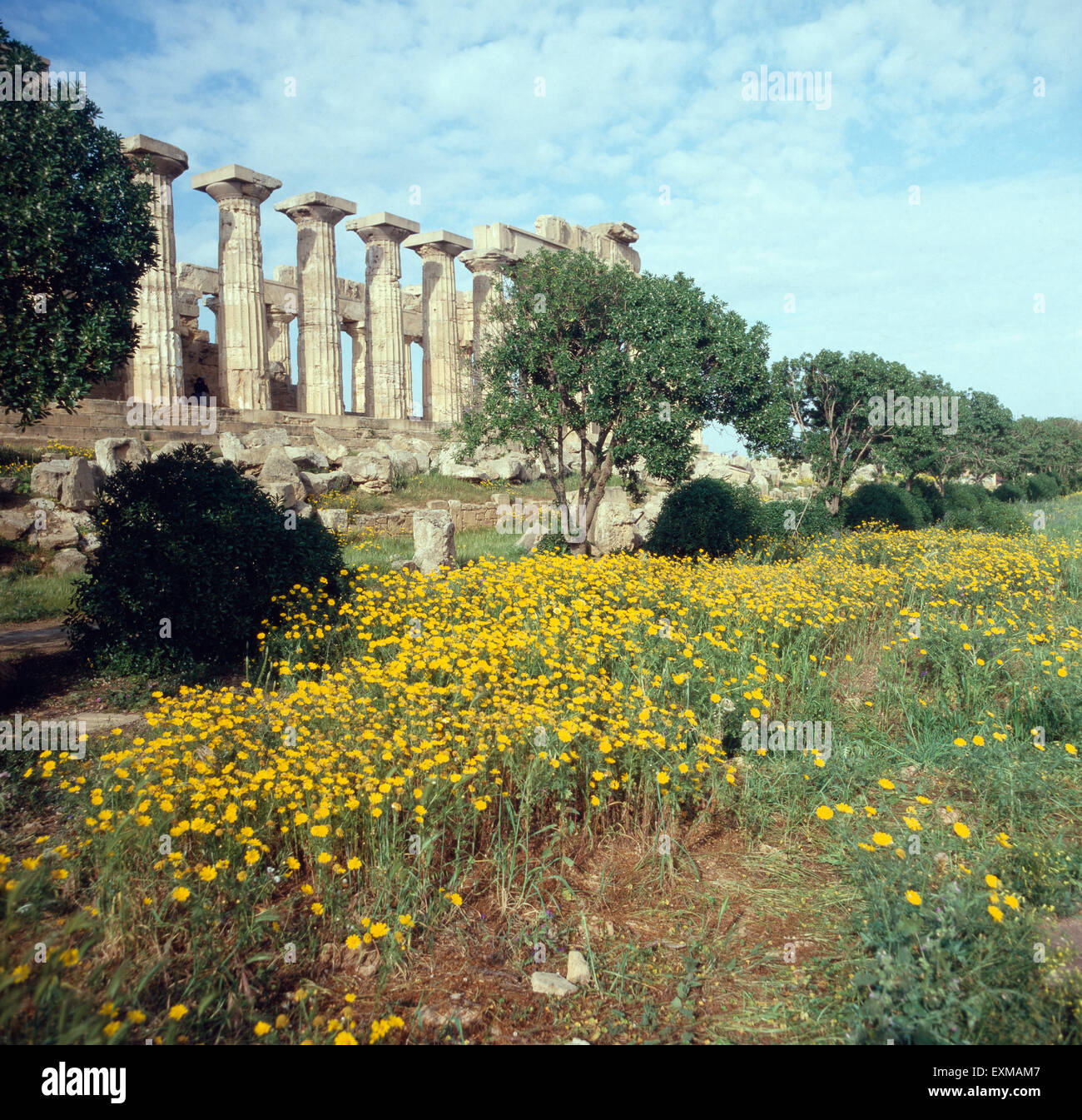 Tempel e der archäologischen Fundstätte Selinunt auf Sizilien, Italien 1970er Jahre. Il tempio e del sito archeologico Selinunt della Sicilia degli anni settanta. Foto Stock