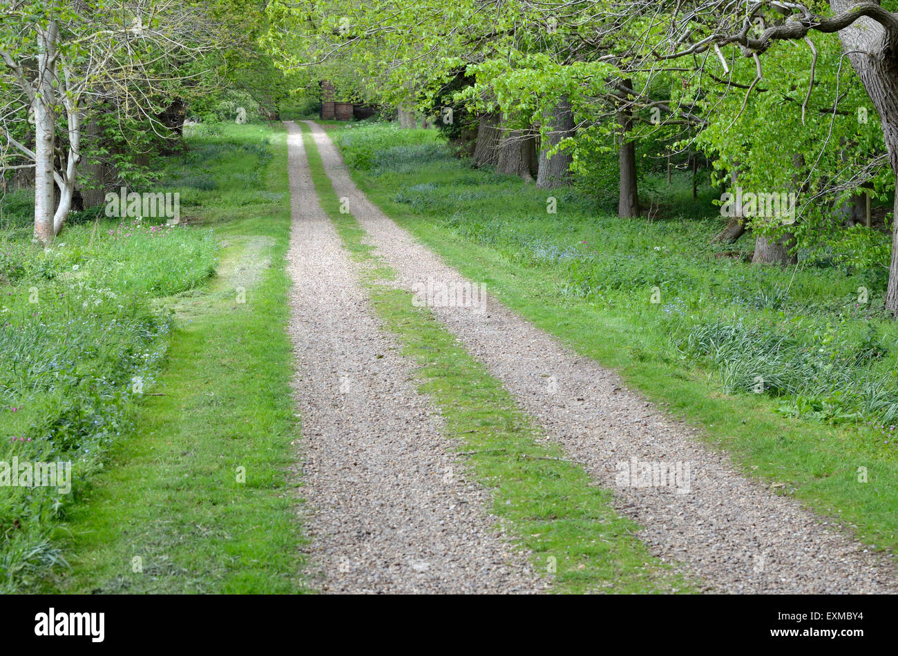 Norfolk, Inghilterra, Regno Unito. Long Drive fino a una country house Foto Stock