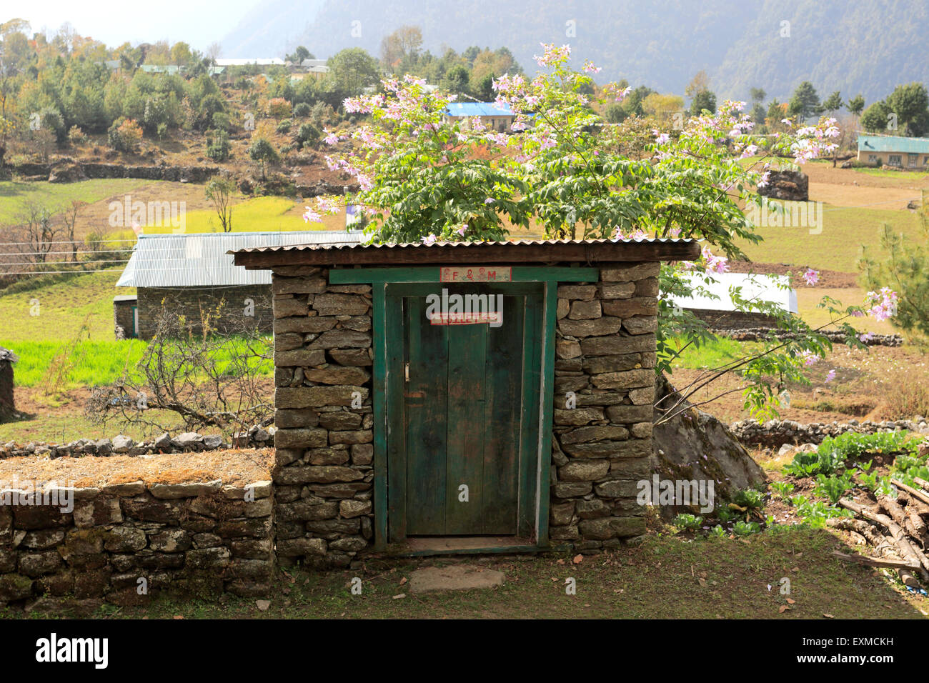 Al di fuori di wc, Lukla village, Parco Nazionale di Sagarmatha, Solu-Khumbu distretto, regione di Khumbu, Nepal orientale, Asia. Foto Stock