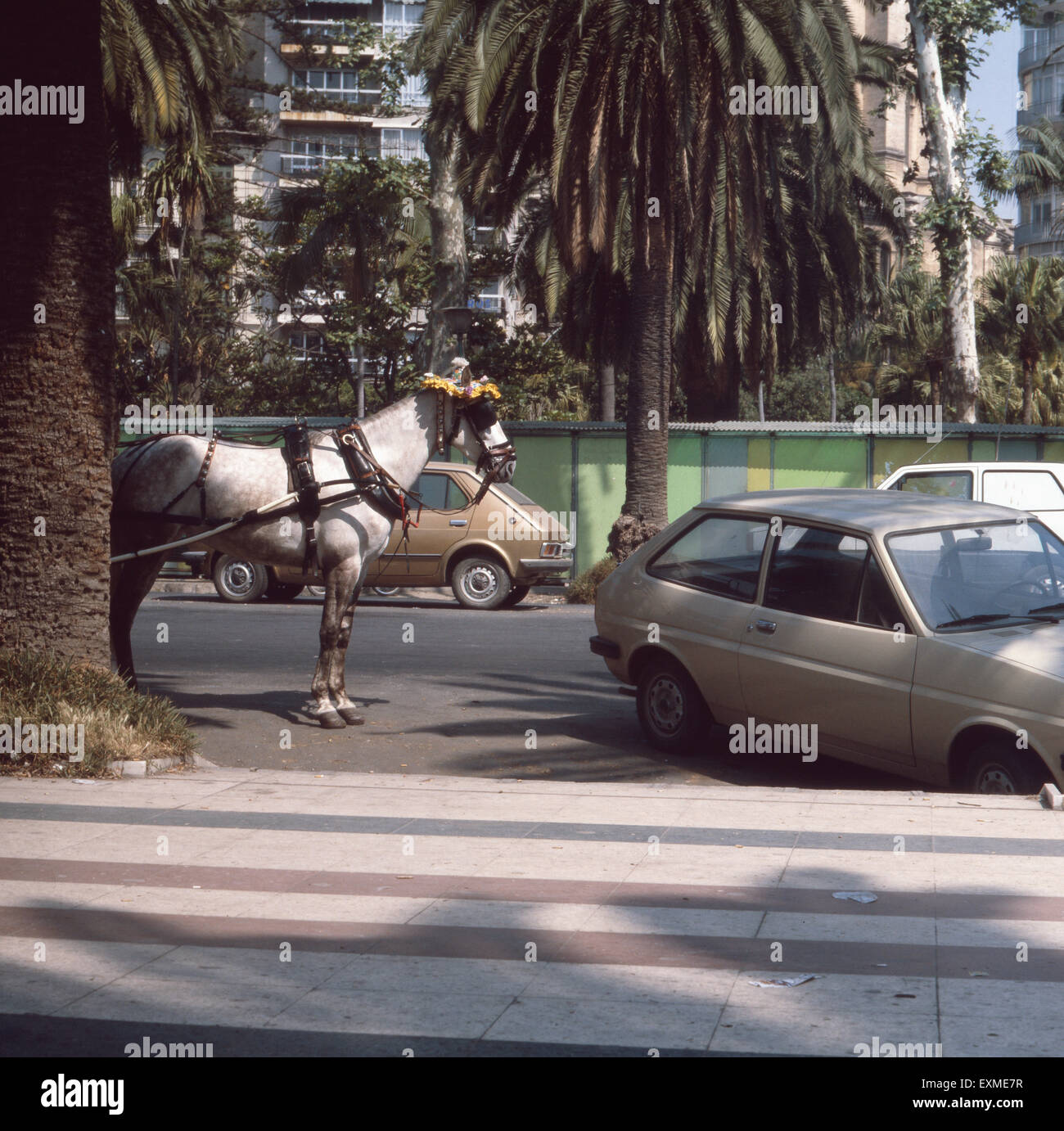 Eine Reise nach Granada, Andalusien, Spanien 1980er Jahre. Viaggio a Granada, Andalusia, Spagna degli anni ottanta. Foto Stock