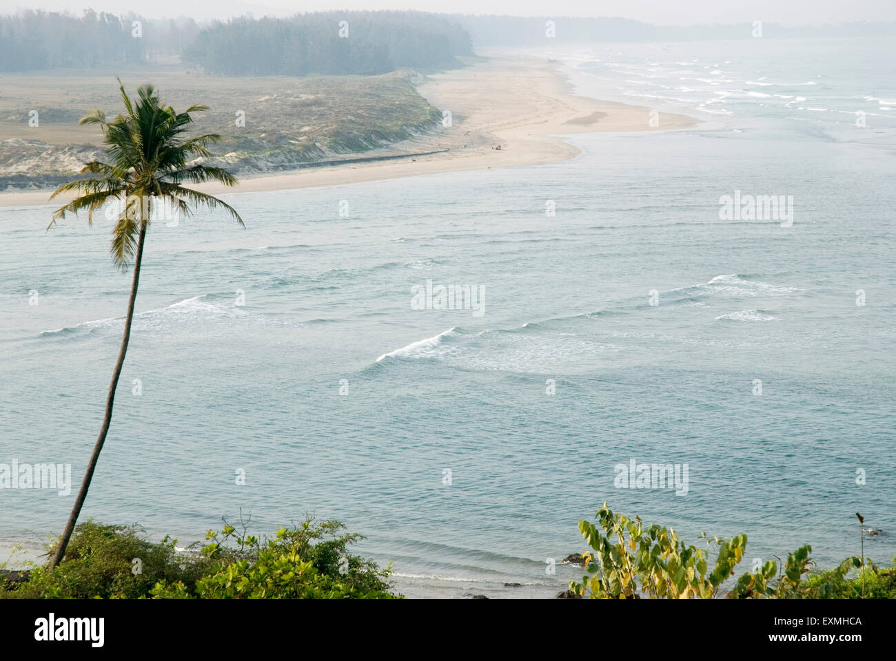 Spiaggia di Aare Ware, spiaggia di Aarey warey ; Ratnagiri ; Maharashtra ; India ; Asia Foto Stock