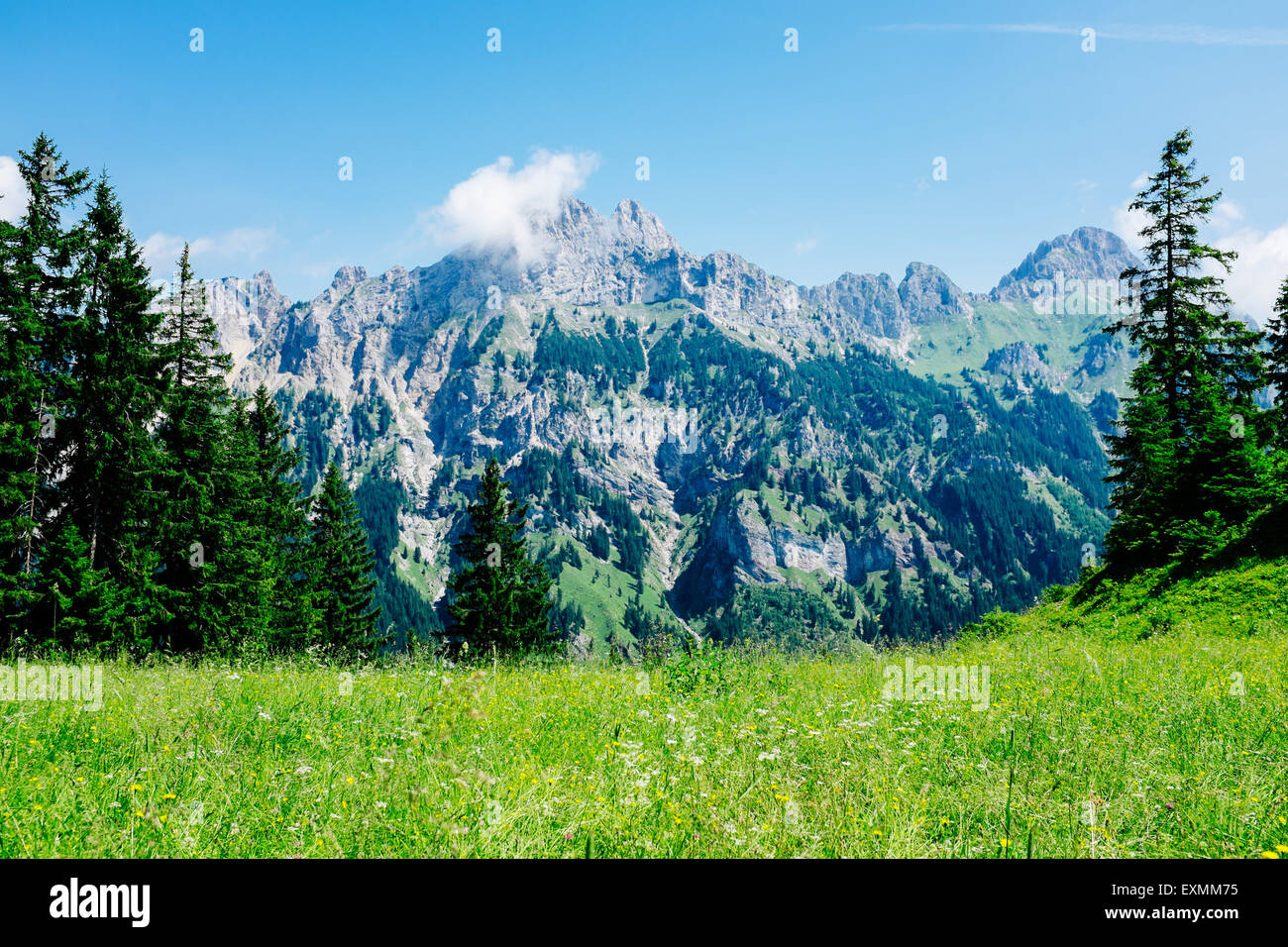 La gamma della montagna di Tannheimer Tal, Tirolo, Austria Foto Stock