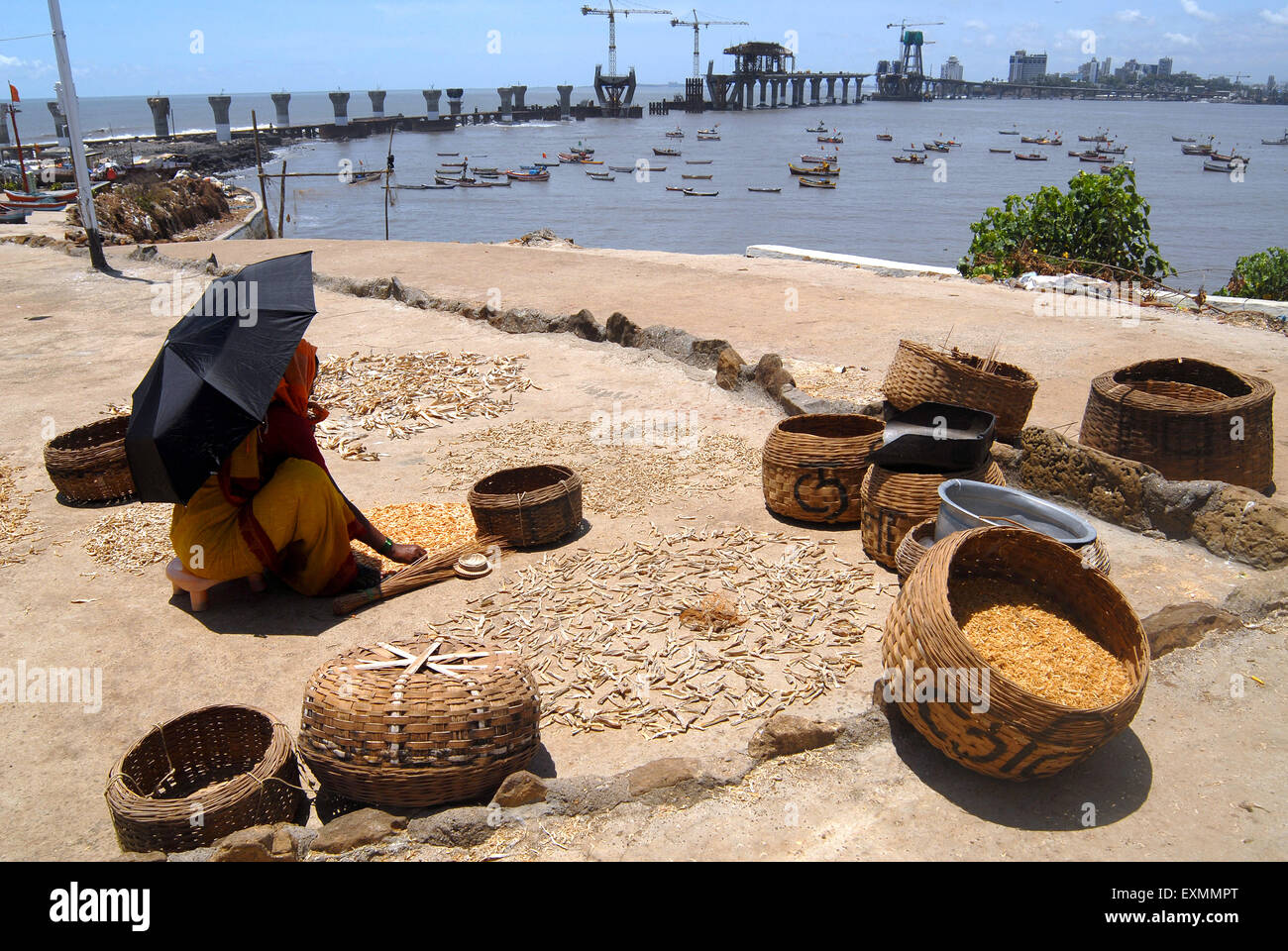 Un fisherwoman asciuga il pesce a Worli village a Bombay ora Mumbai ; Maharashtra ; India Foto Stock