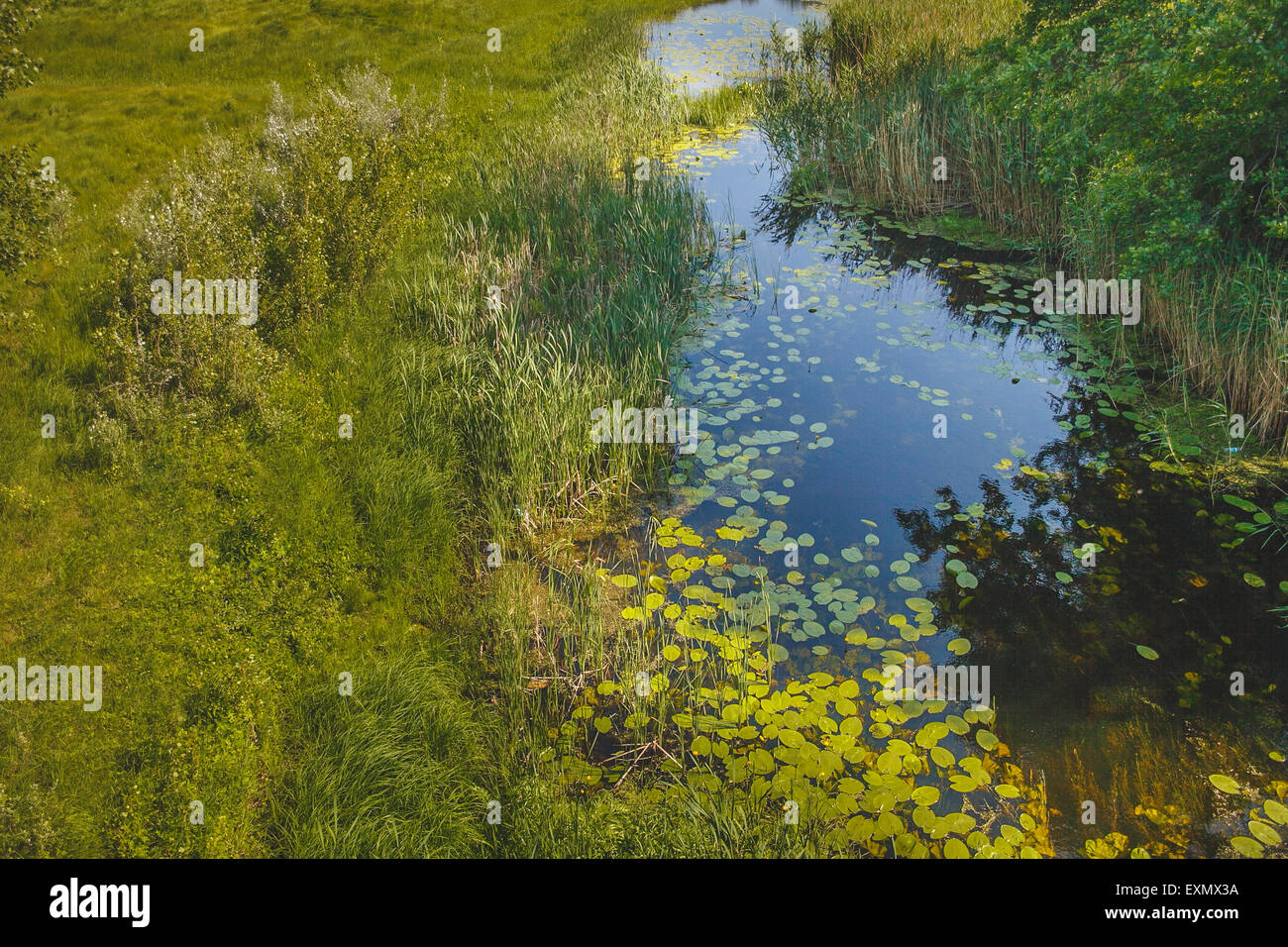 Fiume russo palude estate verde paesaggio vista superiore Foto Stock