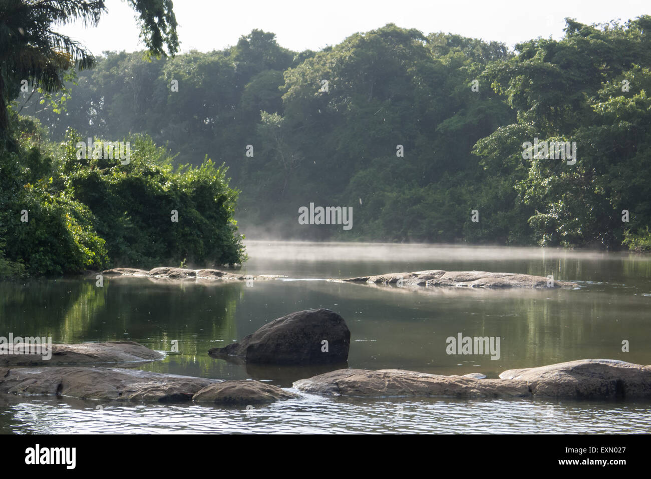 Sullo Xingu, Para Stato, Brasile. La Volta Grande. Early Morning mist. Foto Stock