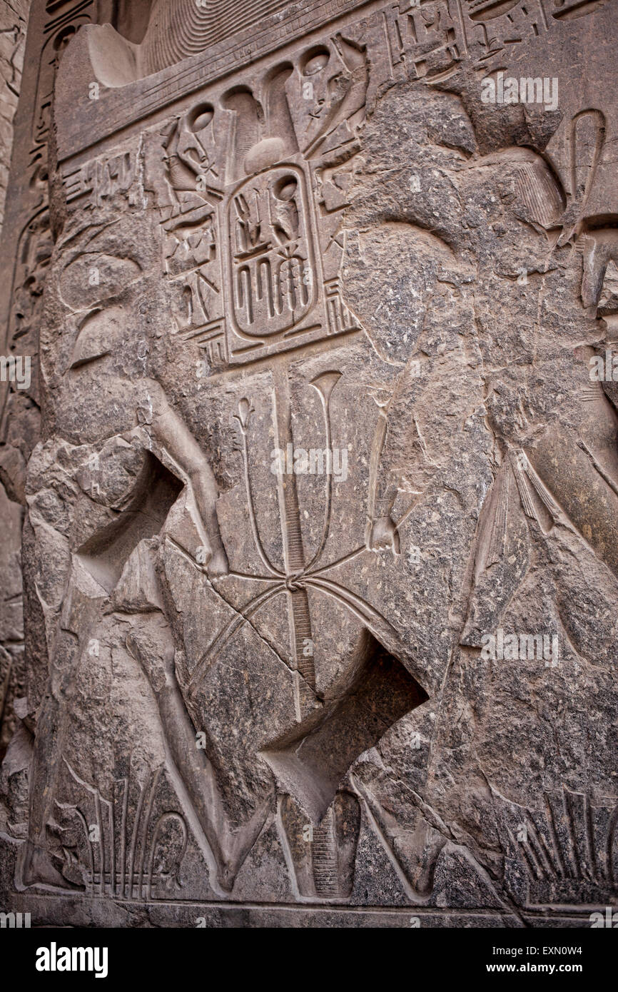 Sculture Antiche sulle colonne all'interno del tempio di Idfu in Egitto. Foto Stock