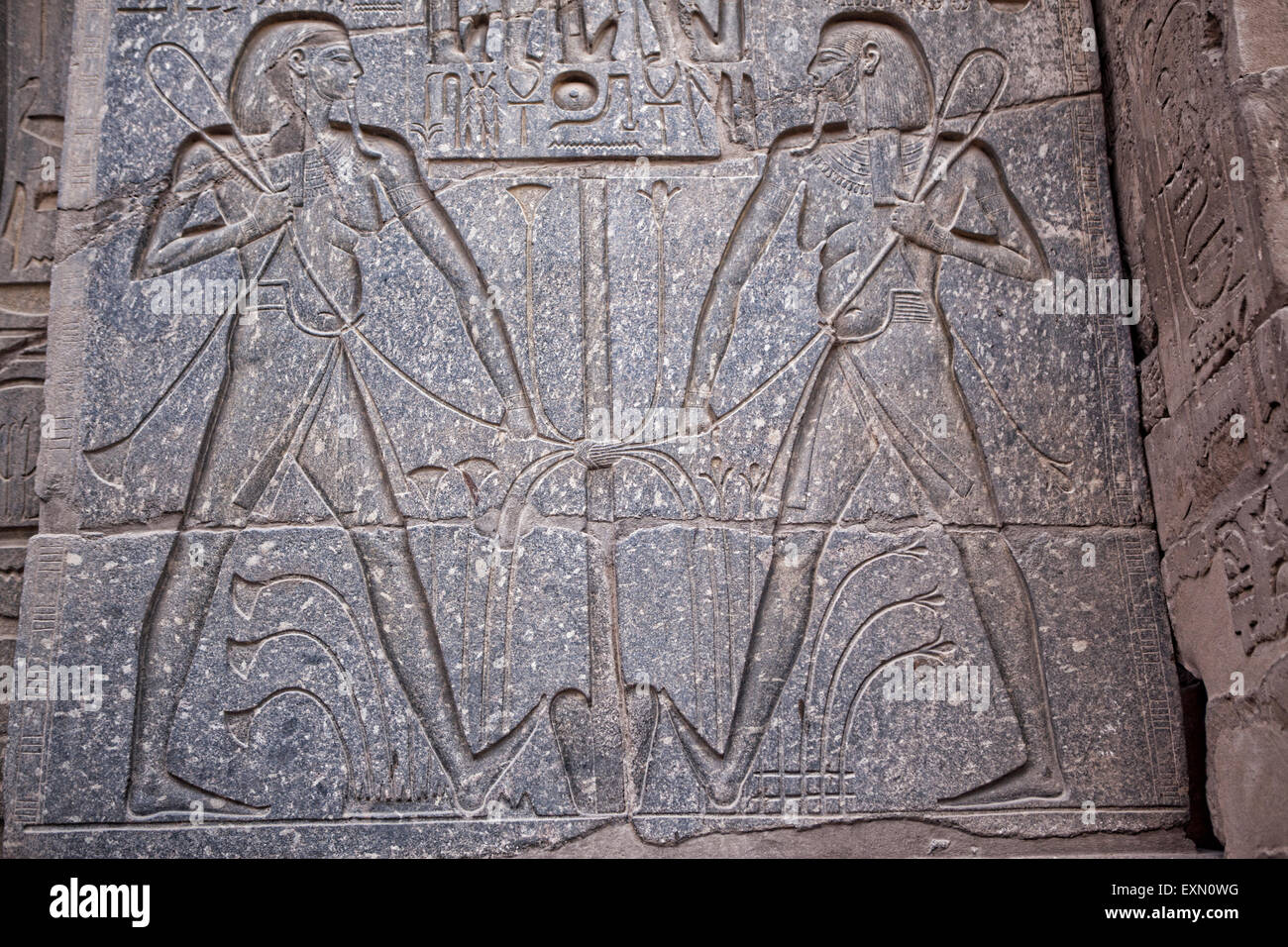 Sculture Antiche sulle colonne all'interno del tempio di Idfu in Egitto. Foto Stock