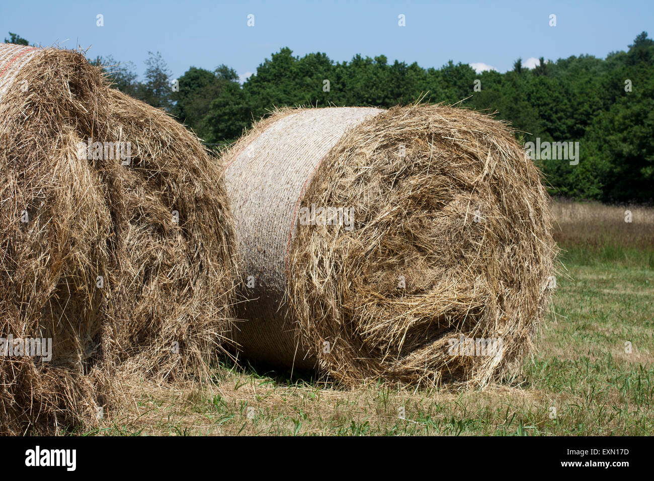 Grandi haystacks round, nel paese italiano Foto Stock