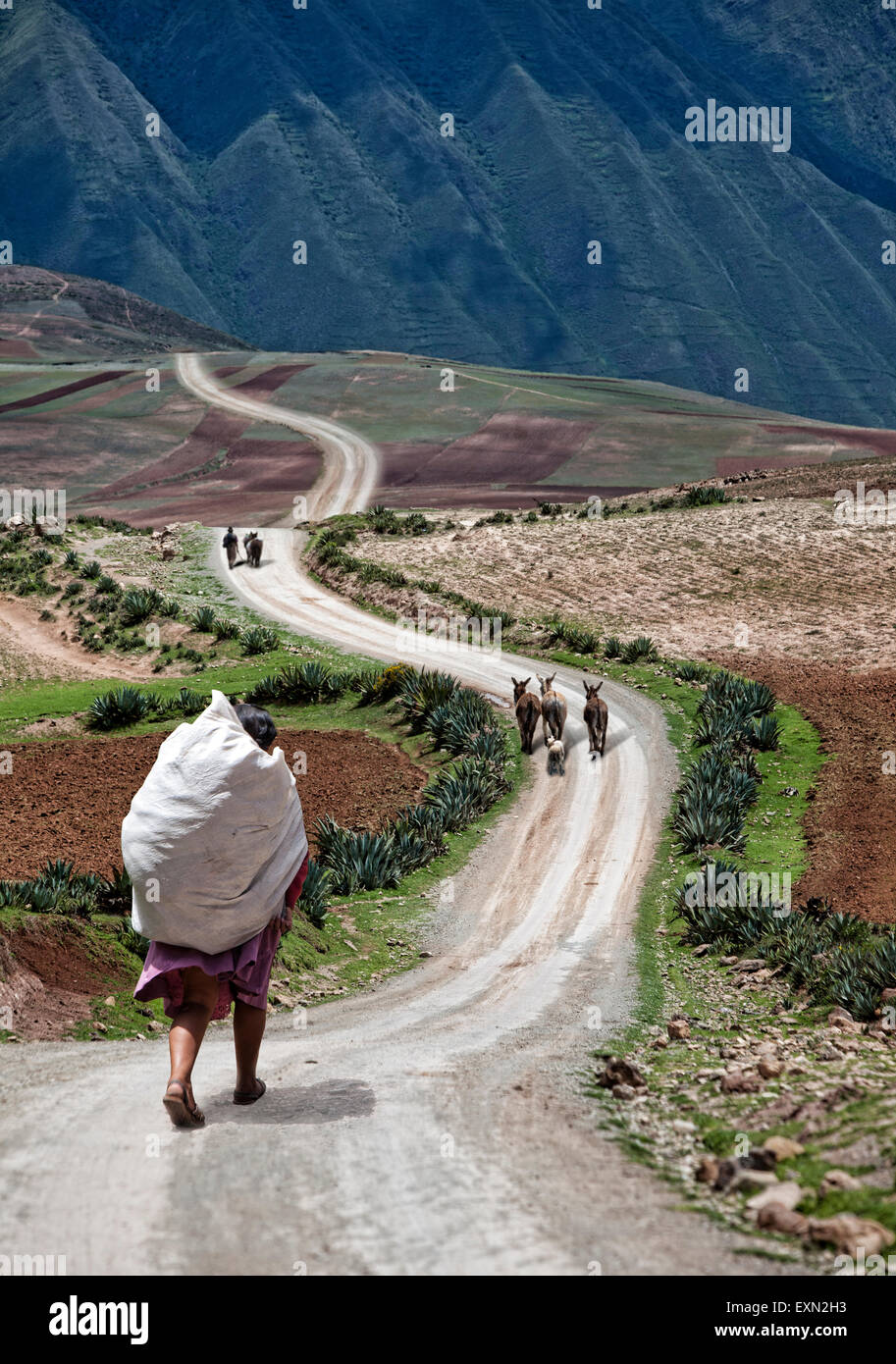 Gli agricoltori locali e i contadini a piedi giù per un lungo avvolgimento su strada sterrata in Valle Sacra, Perù. Foto Stock