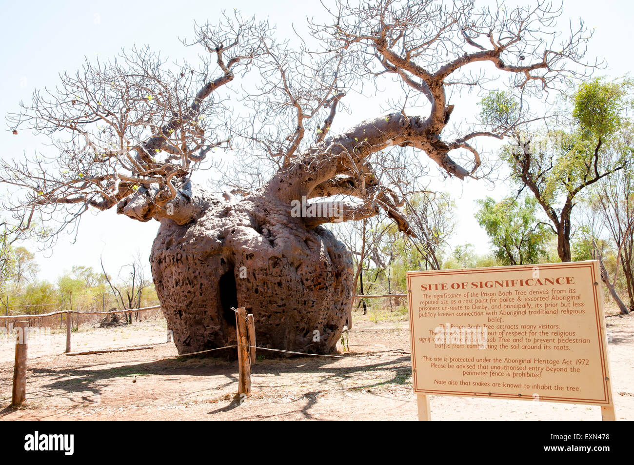 Prigione Boab Tree - Kimberley - Australia Foto Stock