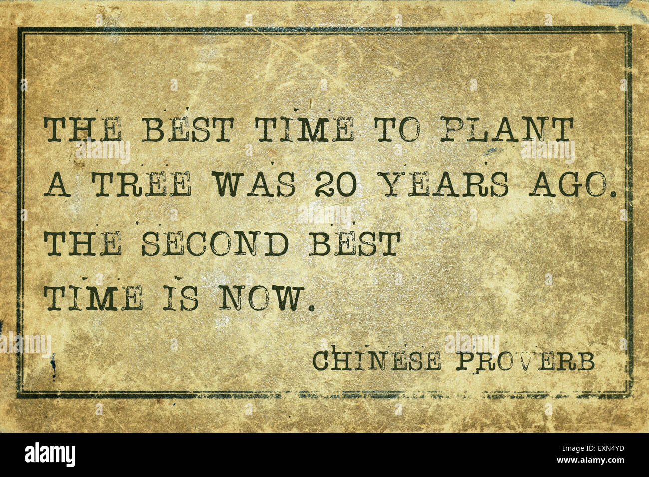 Il momento migliore per piantare un albero era venti anni fa - antico proverbio cinese stampato su grunge cartone vintage Foto Stock