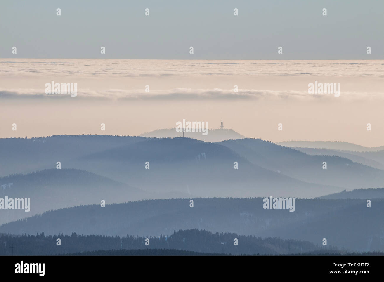 Germania, Sassonia-Anhalt, Parco Nazionale di Harz, la foresta di conifere, inversione atmosferica Foto Stock