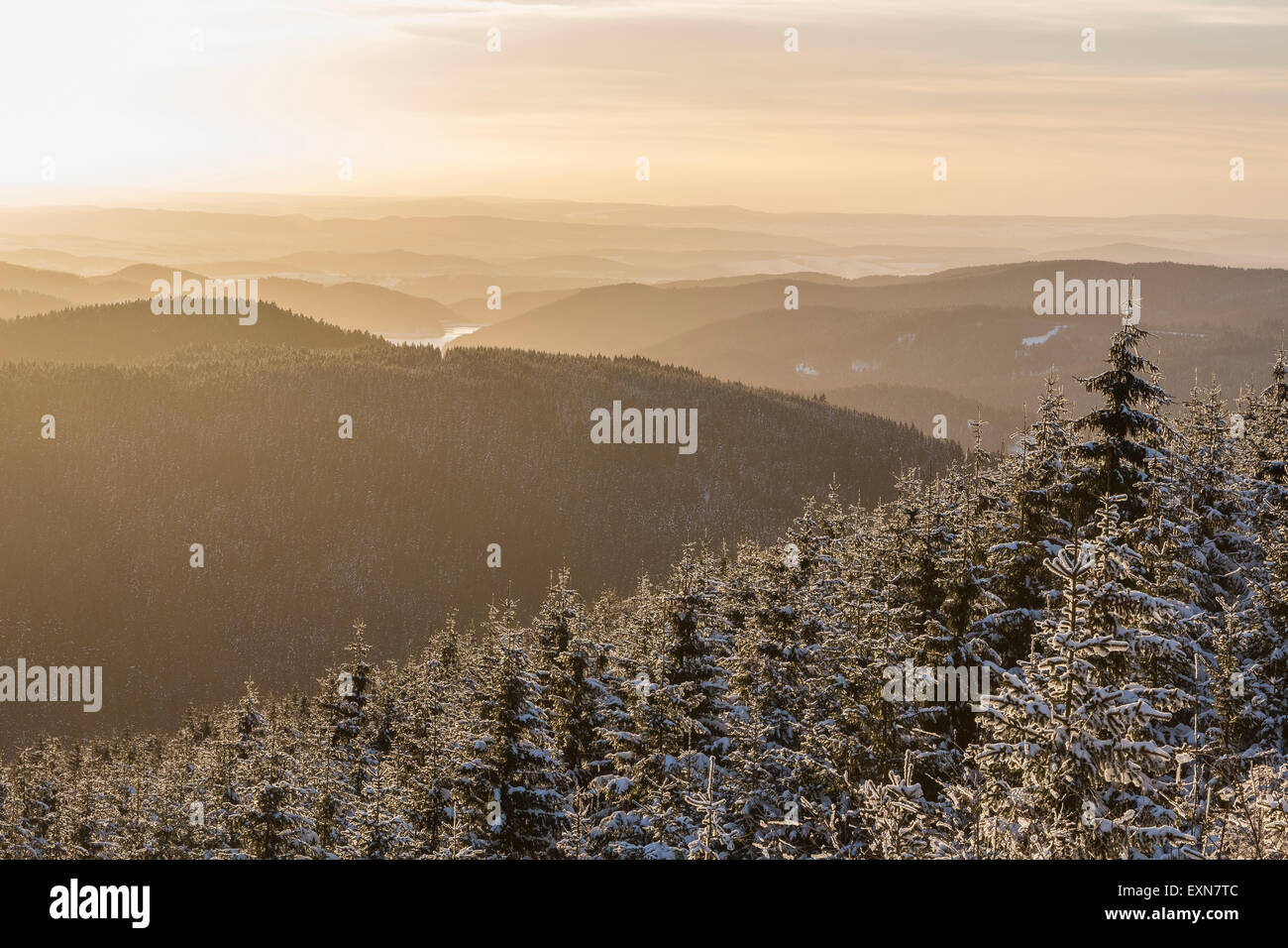 Germania, Sassonia-Anhalt, Parco Nazionale di Harz, il paesaggio in inverno al tramonto Foto Stock