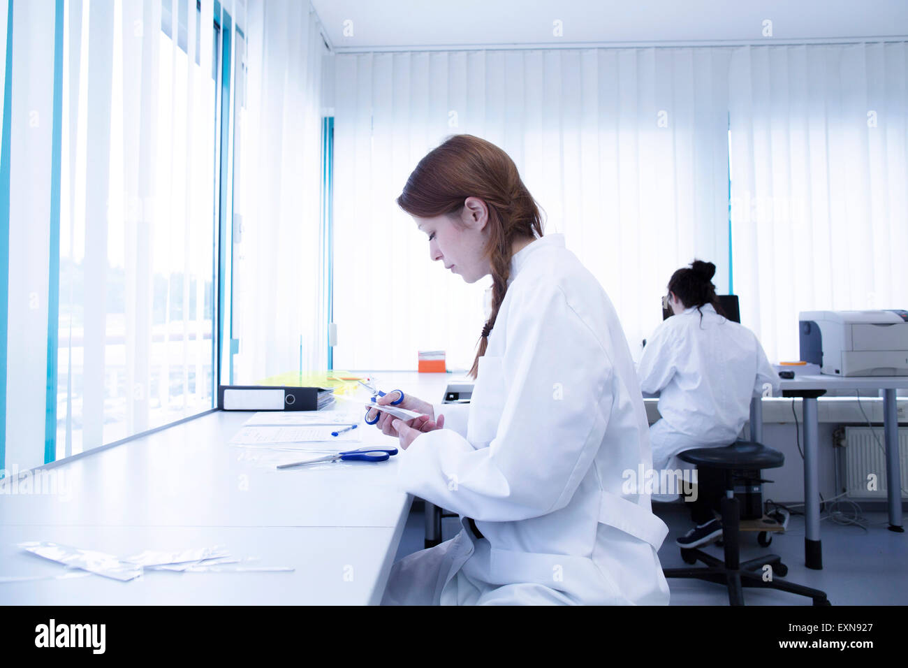 Gli assistenti di laboratorio che lavorano in laboratori clinici Foto Stock