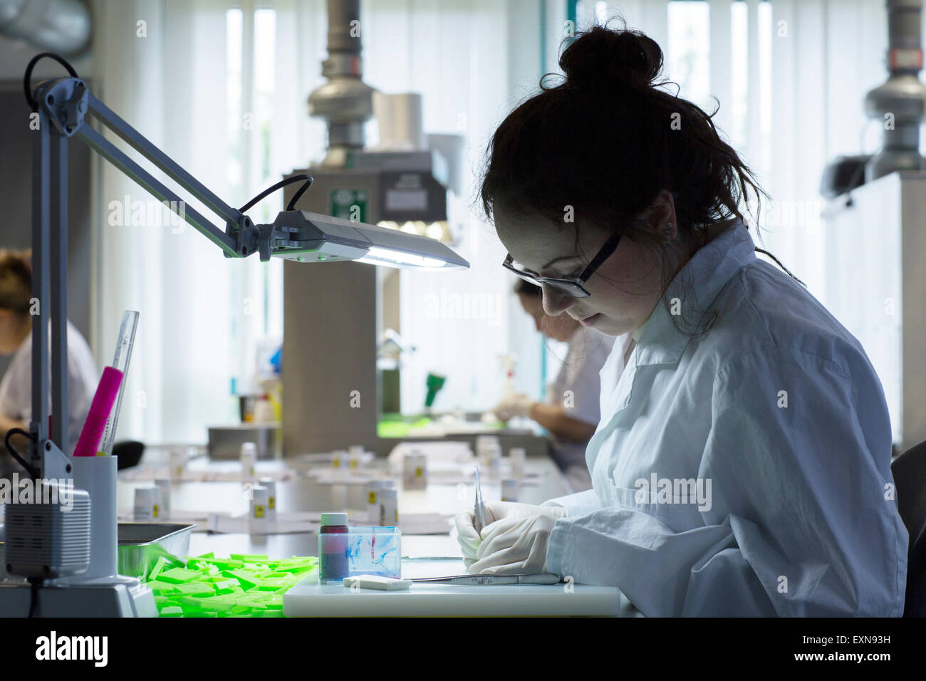 Medico assistente di laboratorio campioni di dissezione Foto Stock