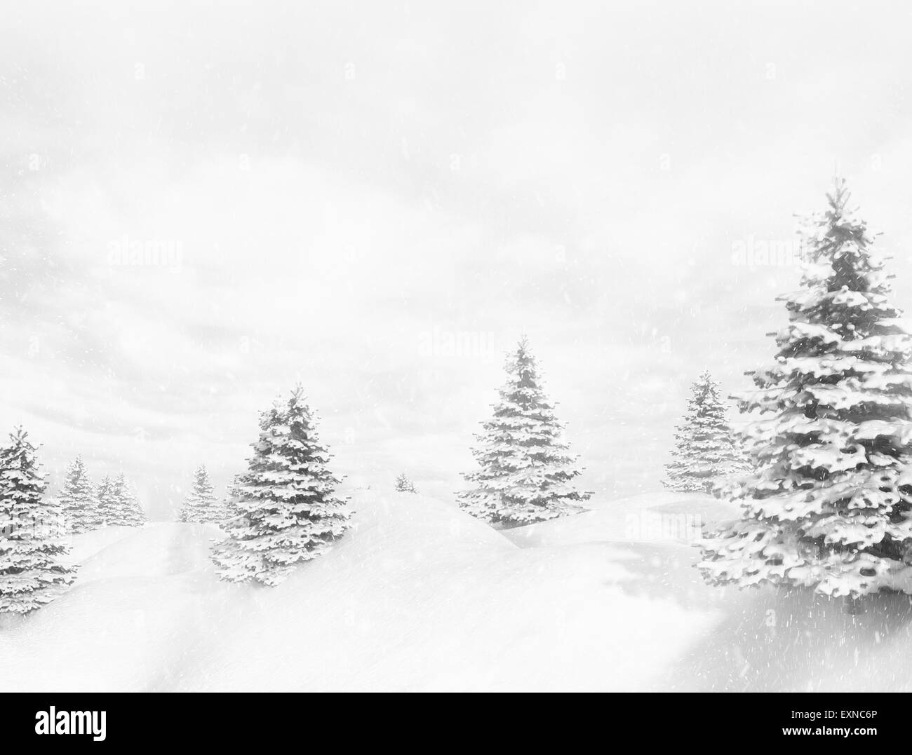 Paesaggio invernale di alberi di pino coperto di neve Foto Stock