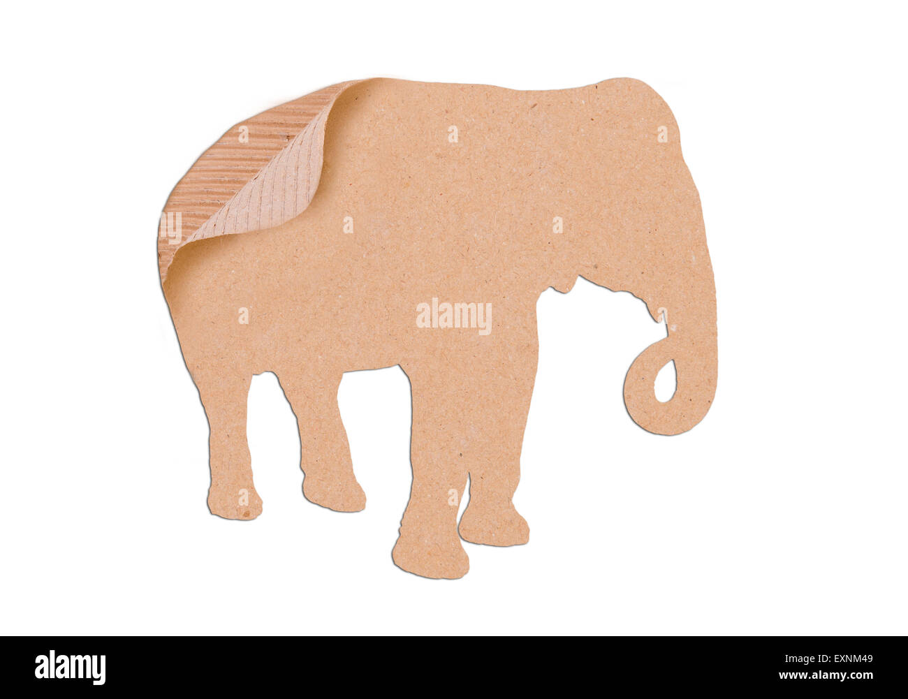 Forma di elefante box carta su sfondo bianco Foto Stock