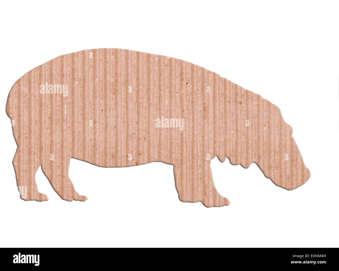 Ippopotamo forma scatola di carta su sfondo bianco Foto Stock