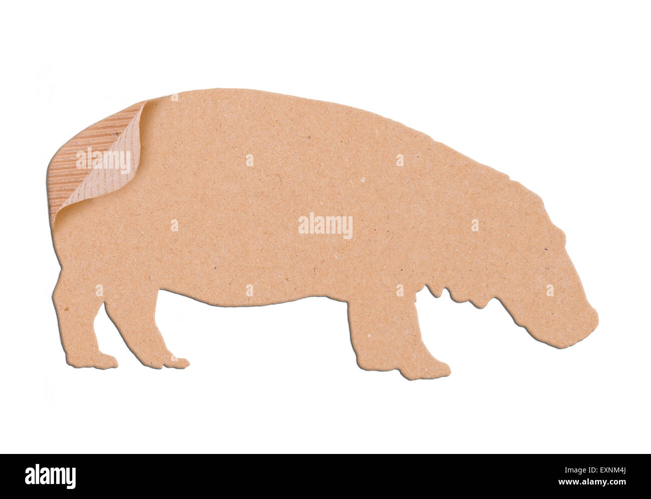 Ippopotamo forma scatola di carta su sfondo bianco Foto Stock