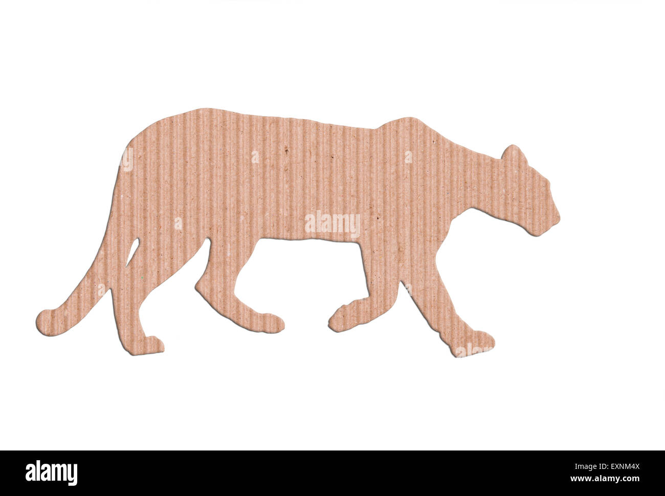 Puma forma scatola di carta su sfondo bianco Foto Stock
