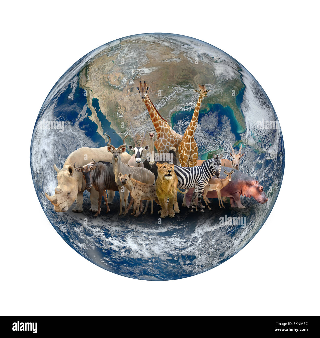Gruppo di africa animale con il pianeta terra, elemento di questa immagine sono arredate dalla NASA Foto Stock