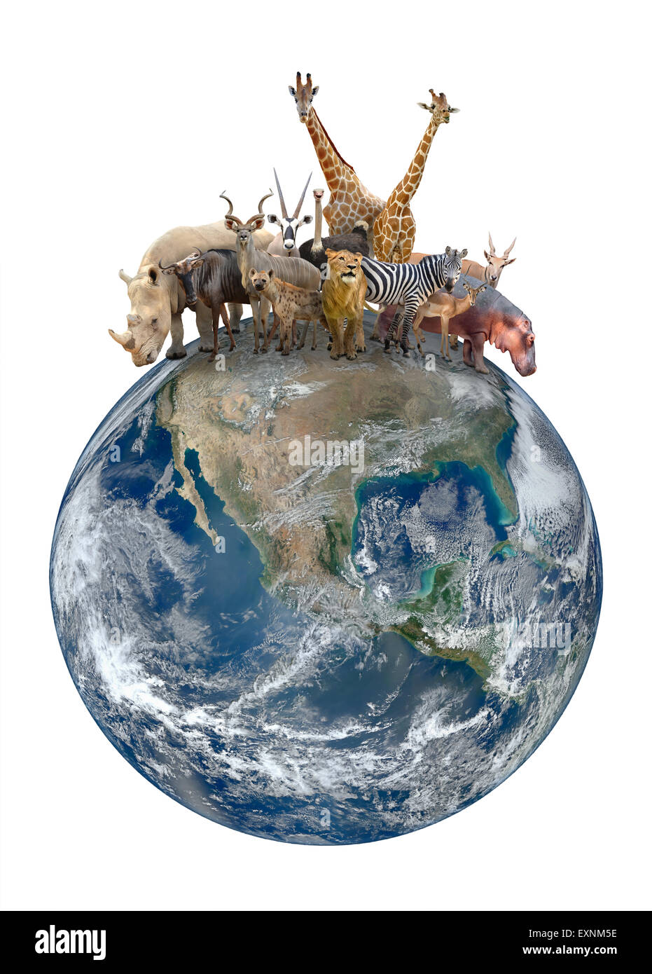 Gruppo di africa animale con il pianeta terra, elemento di questa immagine sono arredate dalla NASA Foto Stock