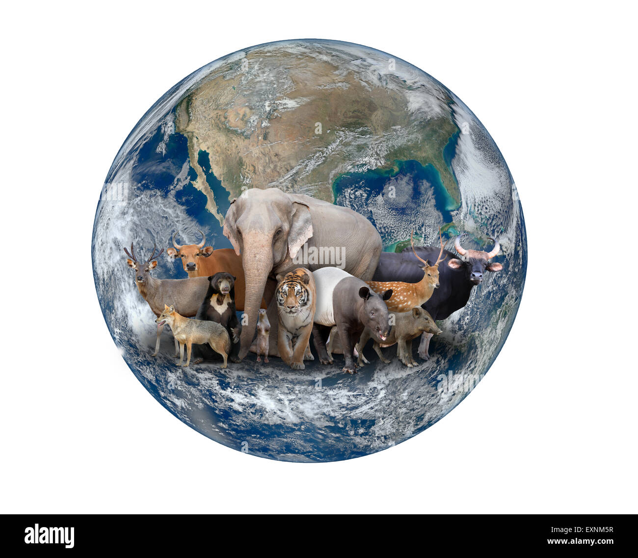 Gruppo di asia animale con il pianeta terra, elemento di questa immagine sono arredate dalla NASA Foto Stock