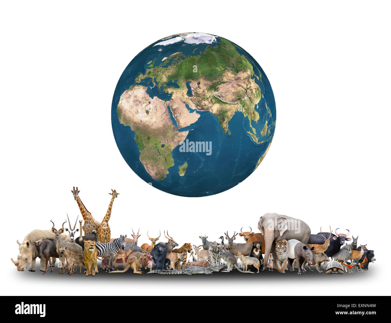 Animali del mondo con il pianeta terra su sfondo bianco,Elemento di questa immagine sono arredate dalla NASA Foto Stock
