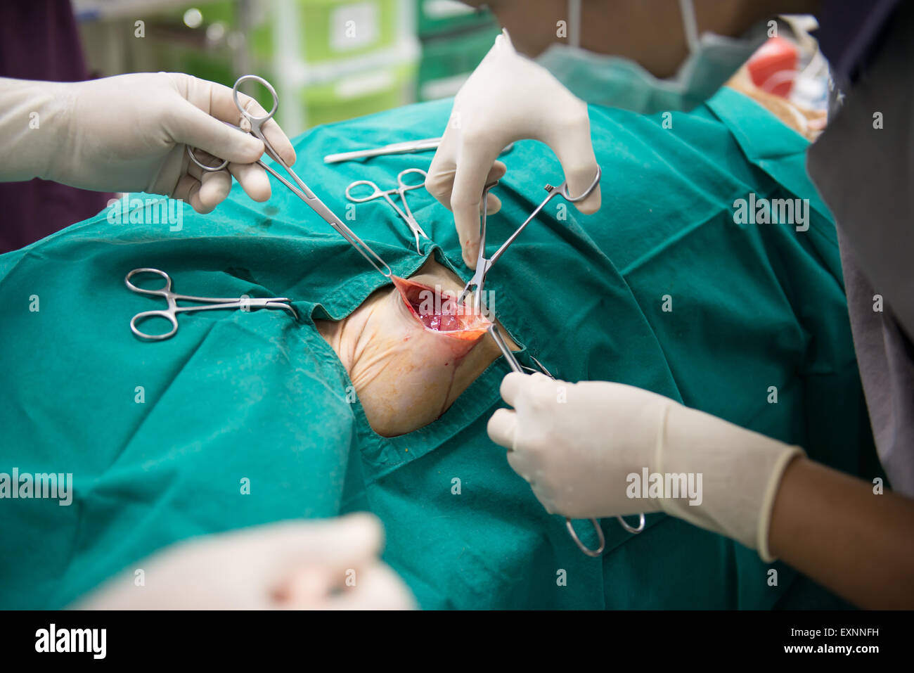 Veterinario effettua un intervento in sala operatoria Foto Stock