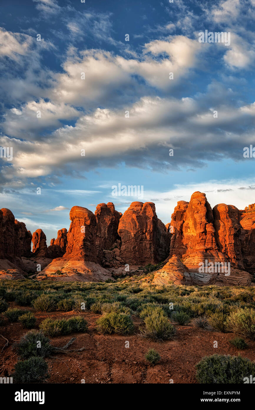 In tarda serata la luce sul giardino di Eden Rock formazioni in Utah Arches National Park. Foto Stock