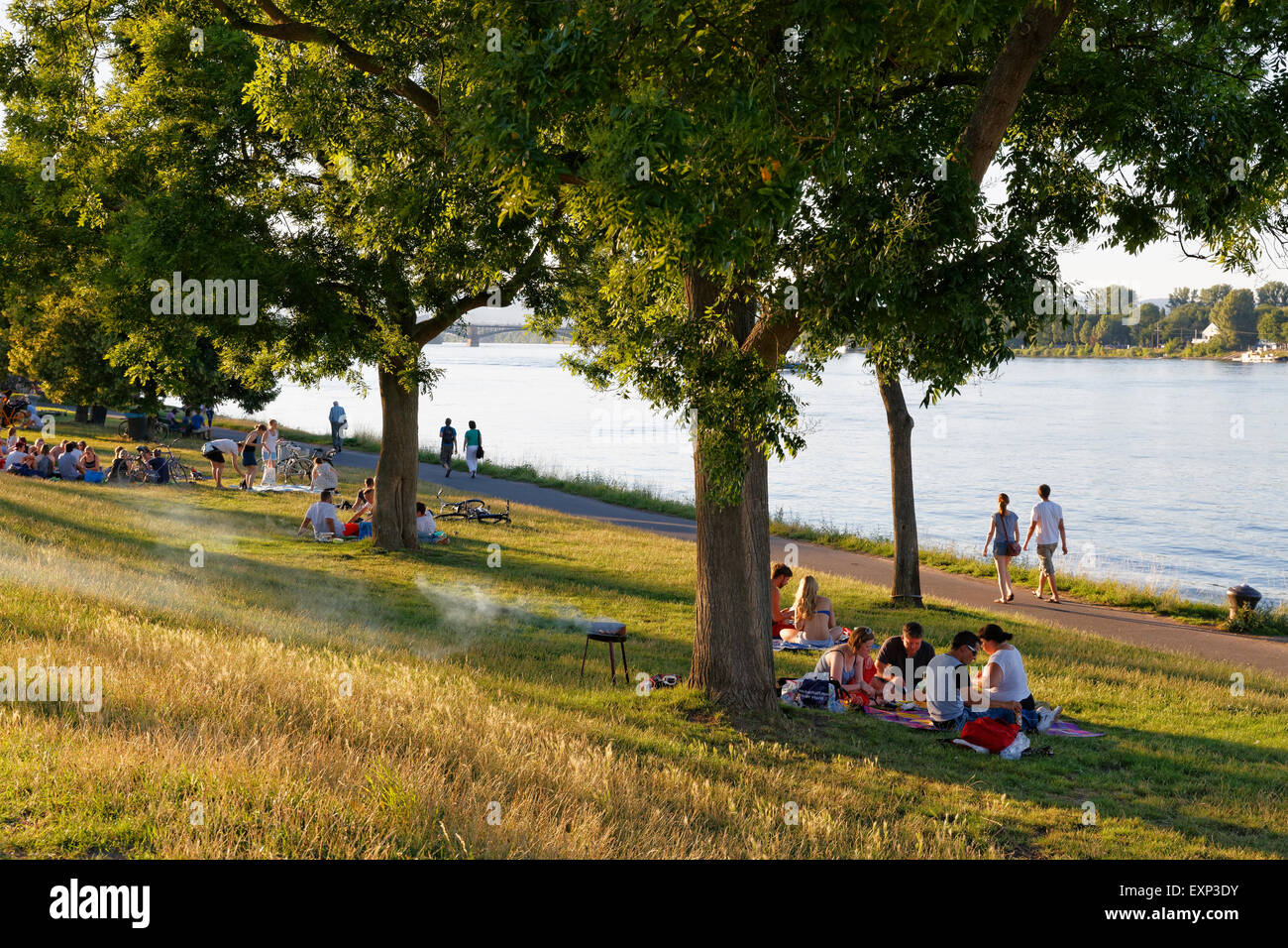 Le persone aventi un barbecue in una serata estiva sulla banca del fiume Reno, Mainz, Renania-Palatinato, Germania Foto Stock