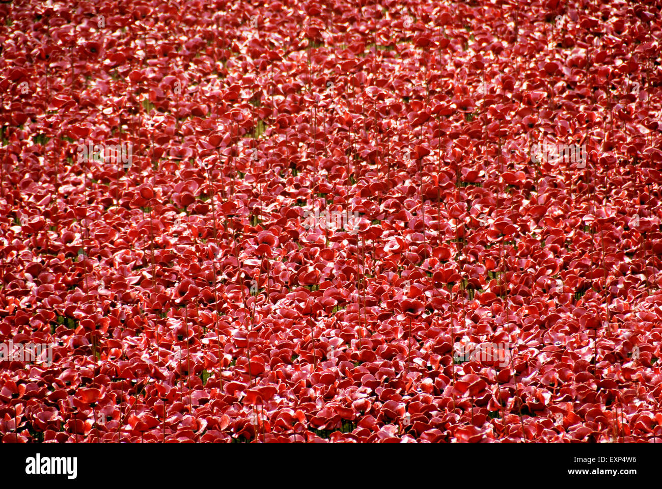 Il sangue spazzata di terre e mari di rosso, Torre di Londra Papaveri Guerra Mondiale una installazione artistica, Londra 2014 Foto Stock