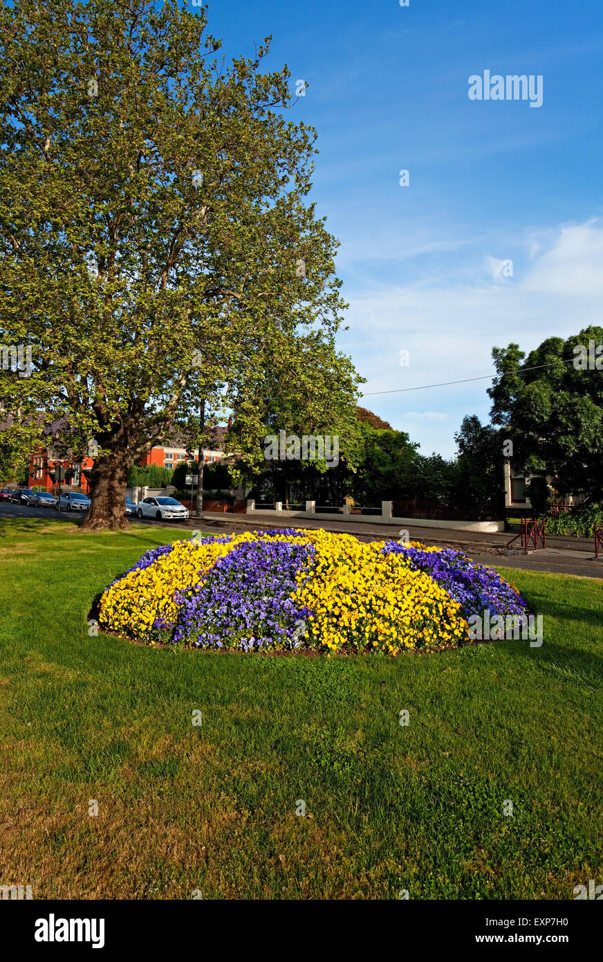 Ballarat Australia / fiori colorati display letto Foto Stock