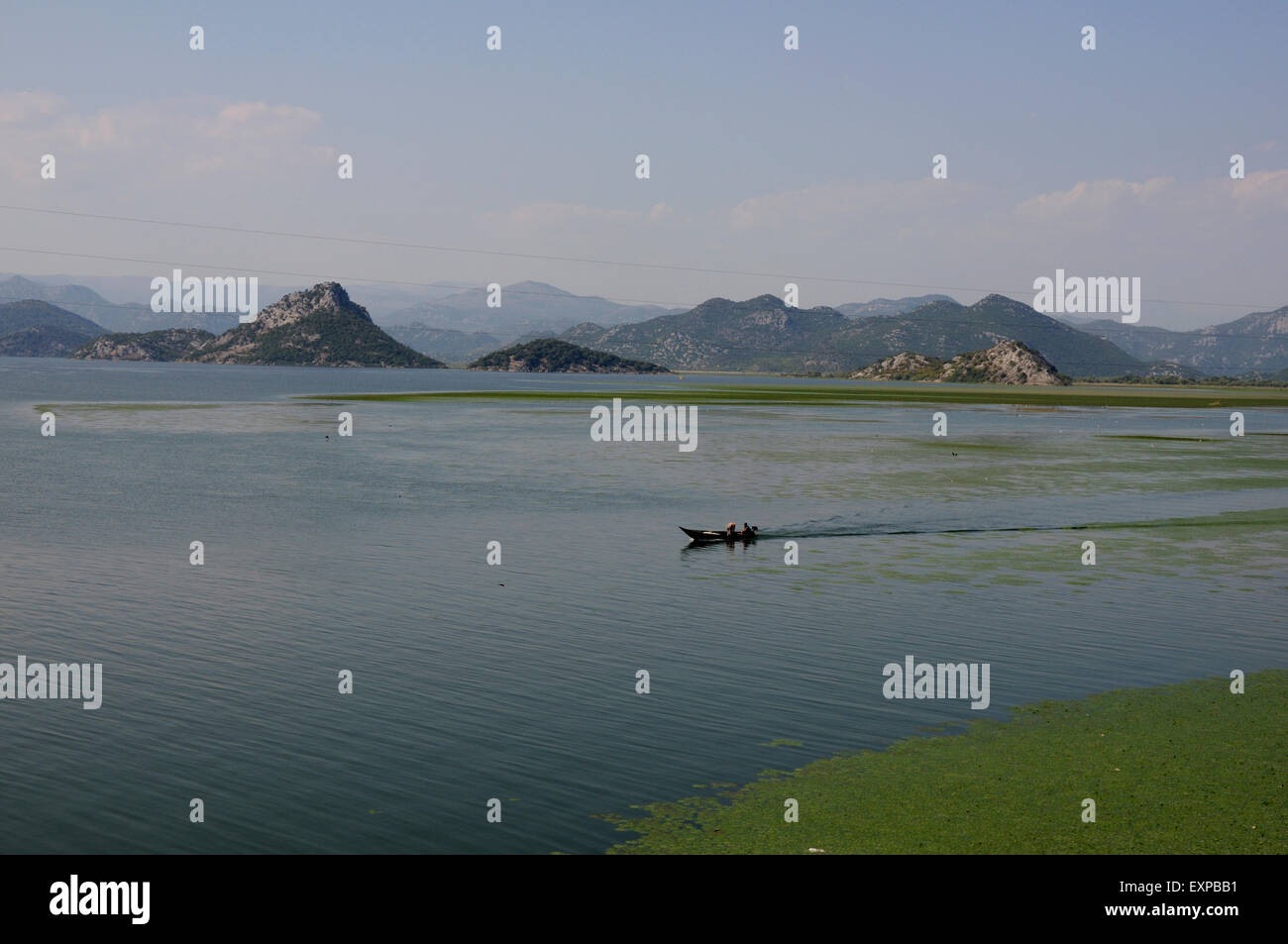 Barca sul Lago di Scutari in Montenegro. Foto Stock