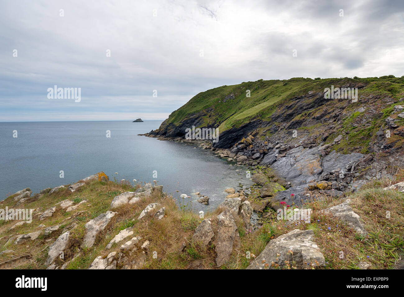 Sopra Clifftops Portloe sulla costa meridionale della Cornovaglia Foto Stock