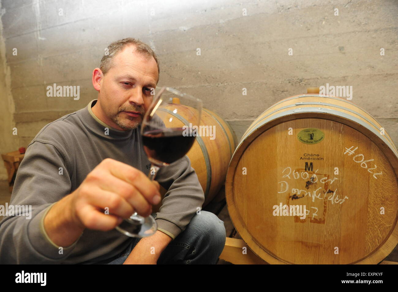 Worm, Germania - 20 agosto 2009 - produttore di vini in cantina esamina il nuovo vino rosso con barili in background Foto Stock