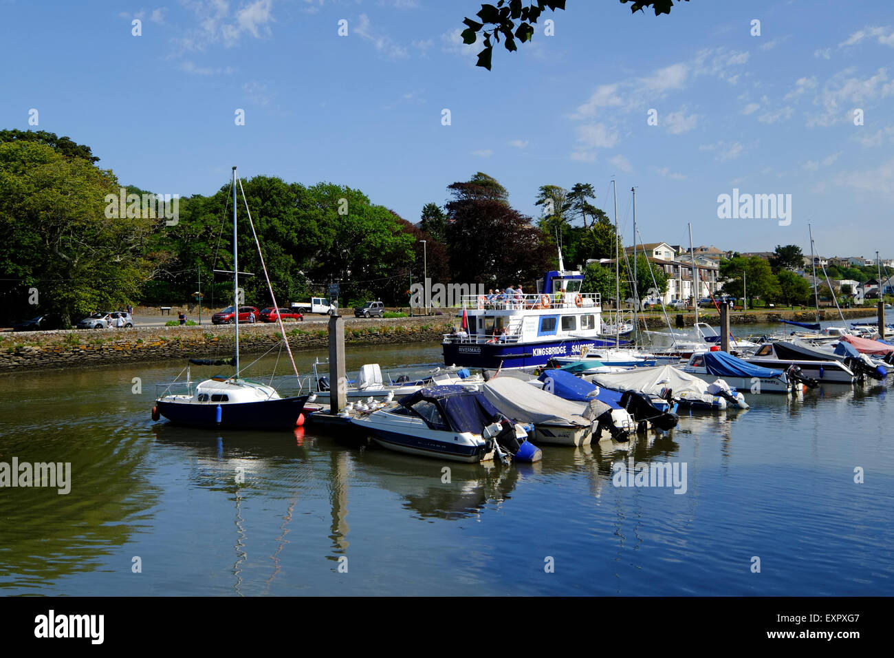 Kingsbridge, Devon, Regno Unito. Il Kingsbridge per Salcombe Traghetto in uscita Kingsbridge. Foto Stock