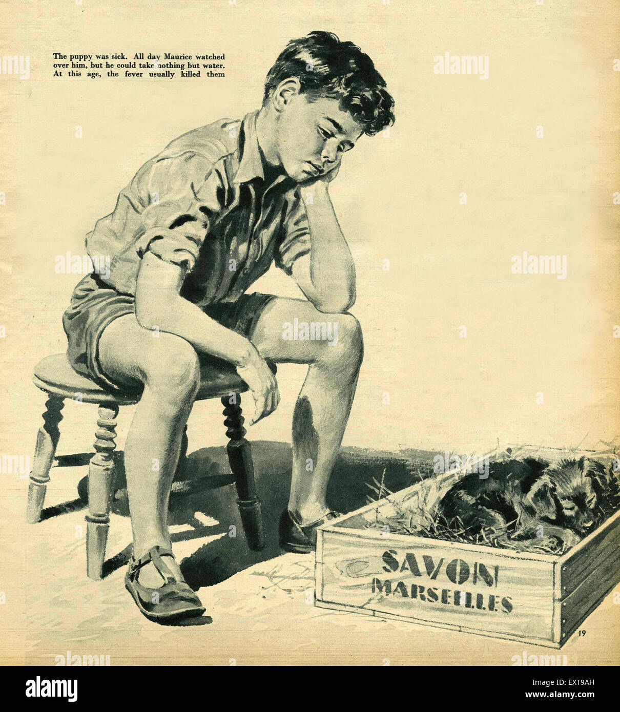 1950S UK John Bull piastra del magazzino Foto Stock