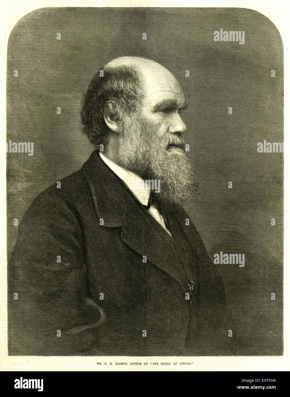 1870S UK Illustrated London News piastra del magazzino Foto Stock