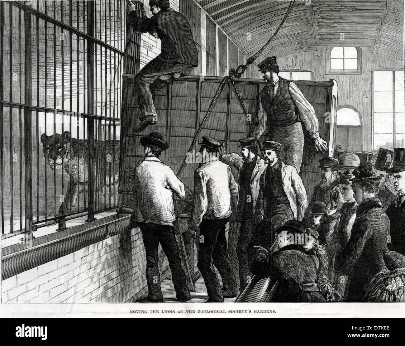 1870S UK Illustrated London News piastra del magazzino Foto Stock