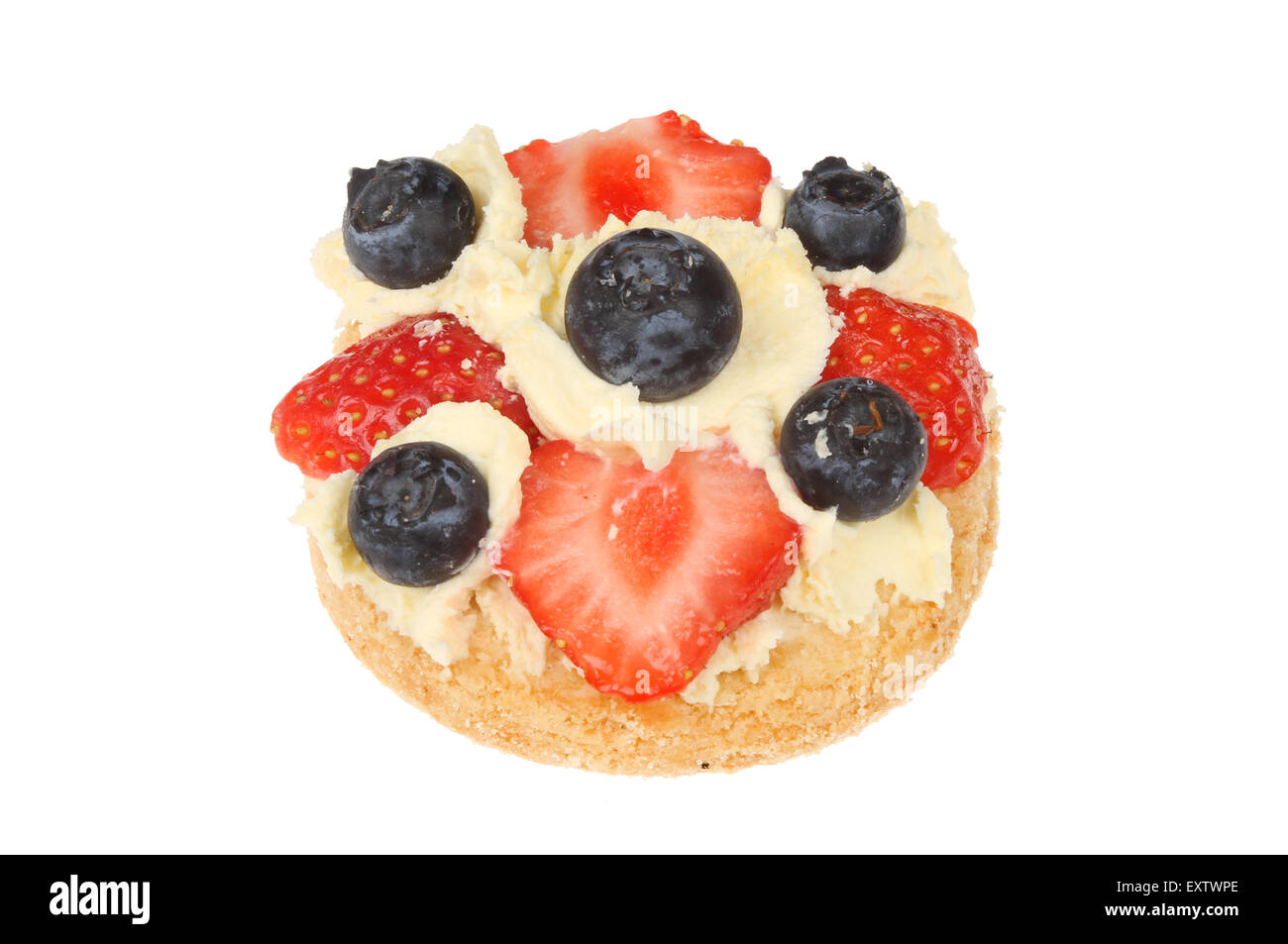Fragole e mirtilli con clotted cream su un biscotto frollino isolata contro bianco Foto Stock